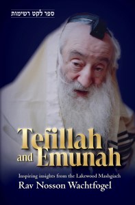 Picture of Tefillah and Emunah [Hardcover]